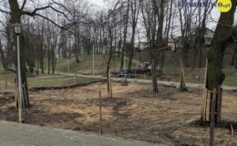 Park Honorowych Dawców Krwi z parkiem linowym i trampolinami