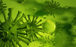 5 osób w kwarantannie. Koronawirus, sytuacja epidemiologiczna na dzień 6 sierpnia (czwartek)