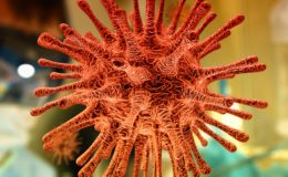 Koronawirus, sytuacja epidemiologiczna na dzień 24 lipca  (piątek). 168 osób w kwarantannie