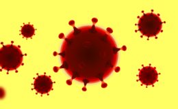 Koronawirus – sytuacja epidemiologiczna w powiecie (5 maja, wtorek)