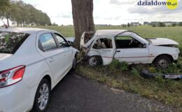 Trzy osoby trafiły do szpitala. Zjechał na przeciwległy pas i uderzył w jadące z naprzeciwka auto