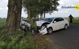 Zjechał na przeciwległy pas i uderzył w jadące z naprzeciwka auto