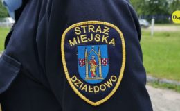 naszywka straż miejska w Działdowie
