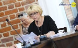 XIX sesja Rady Miasta Działdowa 30.06.2020