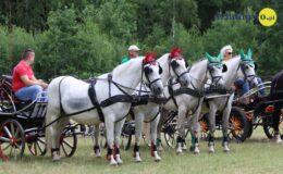 Załoga z Malinowa o 5 sekund od podium. Zawody w powożeniu zaprzęgami