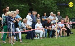 Zawody w powożeniu zaprzęgami