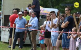 Zawody w powożeniu zaprzęgami