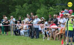 Zawody w powożeniu zaprzęgami