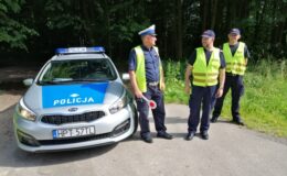 Ogólnopolskie działania na przejazdach kolejowo-drogowych i dzikich przejściach