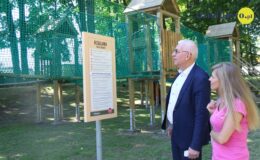 Dzieci mogą się bawić, a starsi mogą czytać książki. Zapraszamy do rewitalizacyjnego paku HDK w Działdowie