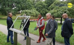 Dzieci mogą się bawić, a starsi mogą czytać książki. Zapraszamy do rewitalizacyjnego paku HDK w Działdowie