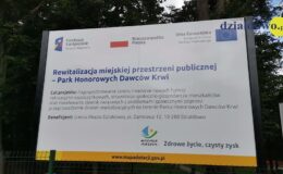 Dzieci mogą się bawić, a starsi mogą czytać książki. Zapraszamy do rewitalizacyjnego paku HDK w Działdowie