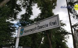 Dzieci mogą się bawić, a starsi mogą czytać książki. Zapraszamy do rewitalizacyjnego paku HDK w Działdowie