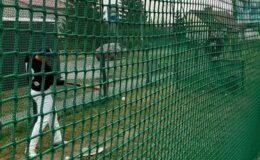 Inauguracja młodej drużyny Yankees Działdowo w Bałtyckiej Lidze Baseballu – zagrali jak „równy z równym” z faworytami