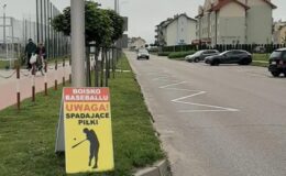Wspaniały sukces młodych Yankees Działdowo i awans do finału Ogólnopolskiej Olimpiady Młodzieży w baseballu