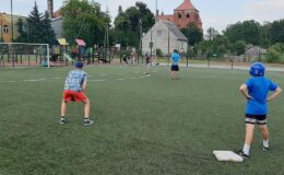 Ruszają rozgrywki 1 ligi baseballu i Bałtyckiej Ligi Baseballu z udziałem Yankees Działdowo