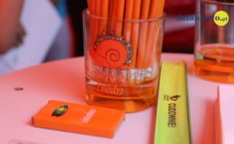 11 Festiwal Miast Cittaslow odbył się w Działdowie