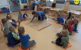Projekt „Drzewo” w Przedszkolu nr 5 w Działdowie