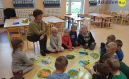 Projekt „Drzewo” w Przedszkolu nr 5 w Działdowie.