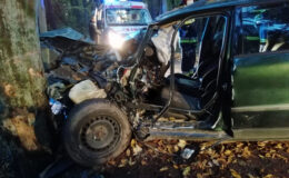 Auto uderzyło w drzewo