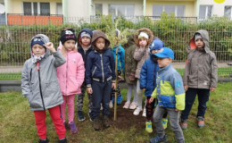 Projekt „Drzewo” w Przedszkolu nr 5 w Działdowie.