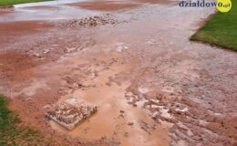 Yankeeesi Działdowo brązowymi medalistami Ogólnopolskiej Olimpiady Młodzieży i Mistrzostw Polski Juniorów Młodszych