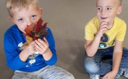 Projekt badawczy „Drzewo” w  Przedszkolu nr 4 w Działdowie