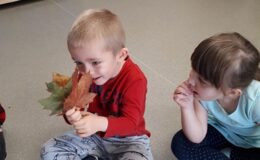 Projekt badawczy „Drzewo” w  Przedszkolu nr 4 w Działdowie