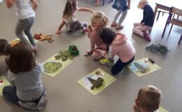 Projekt badawczy „Drzewo” w  Przedszkolu nr 4 w Działdowie