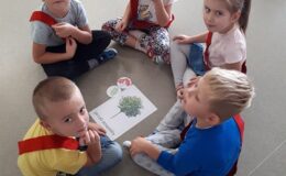 Projekt badawczy „Drzewo” w  Przedszkolu nr 4 w Działdowie