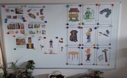 Projekt badawczy „Drzewo” w  Przedszkolu nr 4 w Działdowie