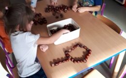 Projekt badawczy „Drzewo” w  Przedszkolu nr 4 w Działdowie