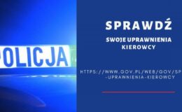 Sprawdź uprawnienia kierowcy na stronie gov.pl