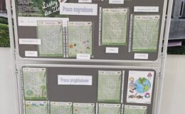 Realizacja programu „Zielona Ręka” w Szkole Podstawowej nr 4