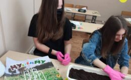 Realizacja programu „Zielona Ręka” w Szkole Podstawowej nr 4