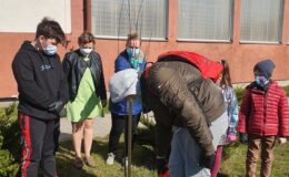 Realizacja programu „Zielona Ręka” w Szkole Podstawowej nr 4