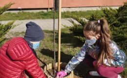 Realizacja programu „Zielona Ręka” w Szkole Podstawowej nr 4