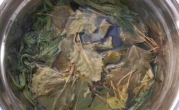 Warsztaty kosmetyków naturalnych z Babą Jogą