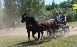 Zawody zaprzęgów parokonnych w Malinowie