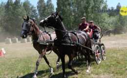 Zawody zaprzęgów parokonnych w Malinowie