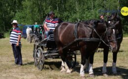 Zawody zaprzęgów parokonnych w Malinowie