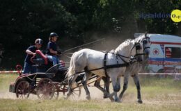 Zawody zaprzęgów parokonnych w Malinowie
