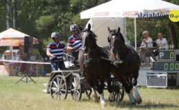 Zawody zaprzęgów parokonnych w Malinowie