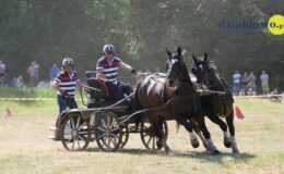 Zawody zaprzęgów parokonnych w Malinowie