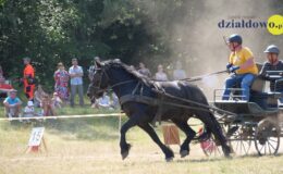 Zawody zaprzęgów parokonnych w Malinowie