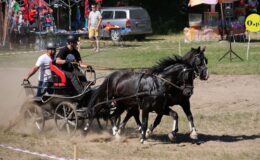 Zawody zaprzęgów parokonnych w Malinowie