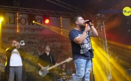 Koncert Reggaeside