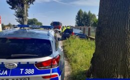 Uderzył w przydrożne drzewo
