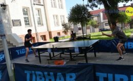 Qbik, Szulerzy, Rozes, Tulinki i Maraquja – muzyczna uczta