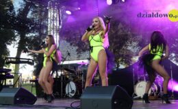 Qbik, Szulerzy, Rozes, Tulinki i Maraquja – muzyczna uczta
